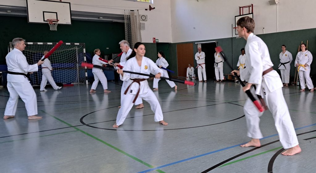 Eine intensive Trainingswoche in Wetzlar: Sieben Karateka des TuS Mosella Schweich trainierten beim Karate-Sommertrainingslager 2026 mit.