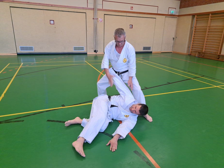 Zwei Karateka zeigen eine angeleitete Partnerübung auf dem Hallenboden Zwei Karateka zeigen eine angeleitete Partnerübung auf dem Hallenboden